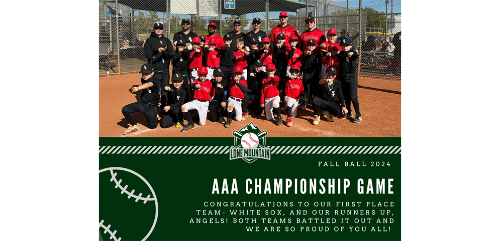 AAA Champions & Finalist 